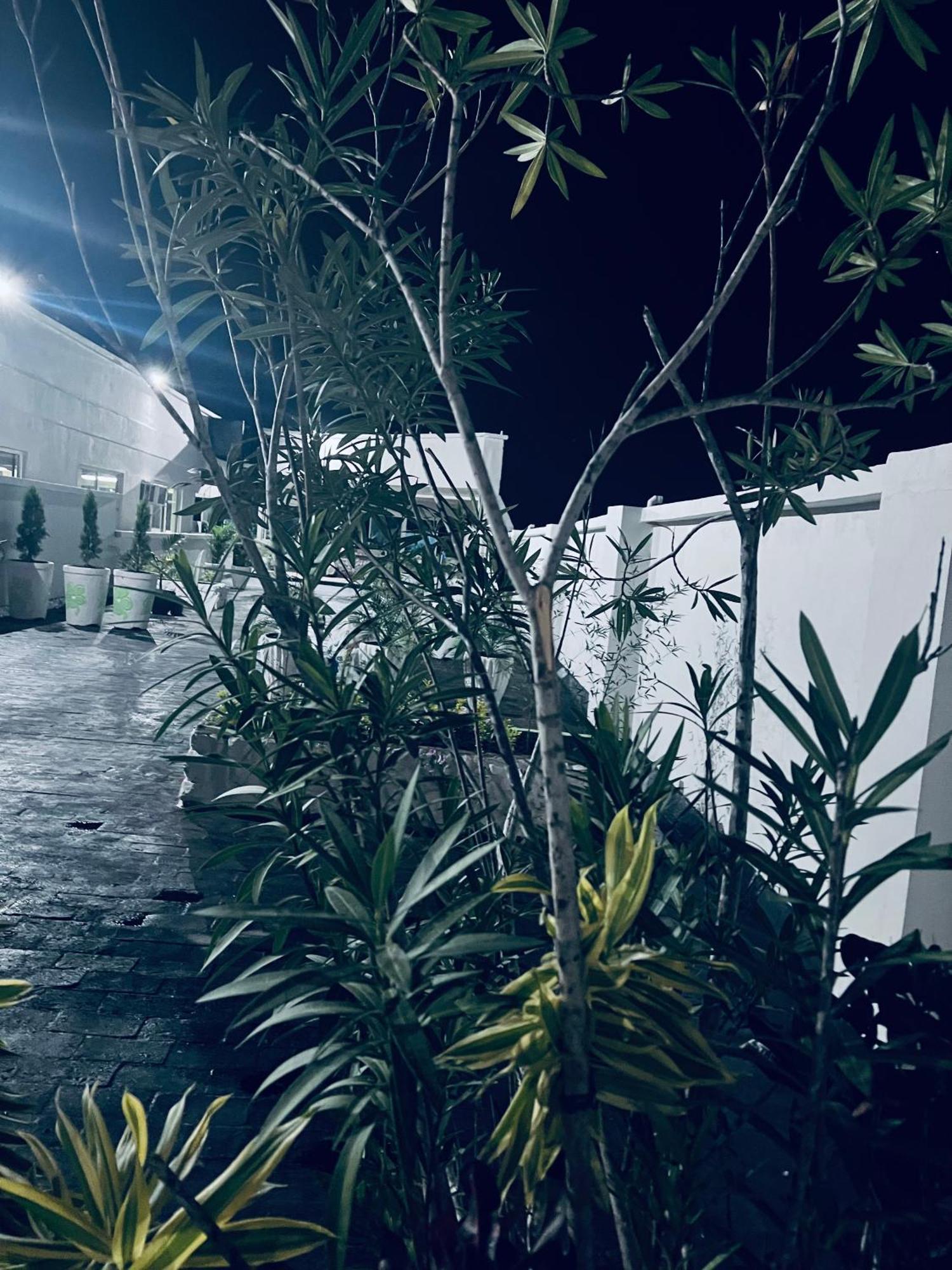 Los Guacamayos La Ceiba Exterior photo